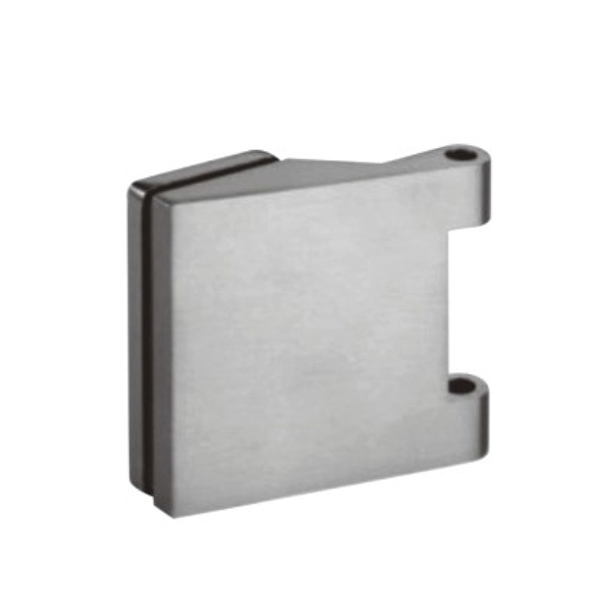 Glass Hinge