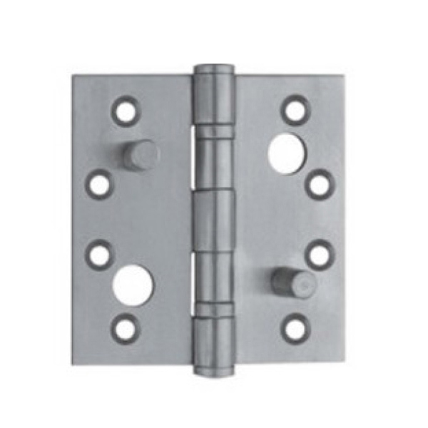 304 Bearing Door Hinge 010